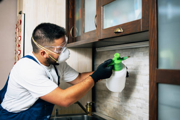 Best Best Pest Control Companies  in Nanuet, NY