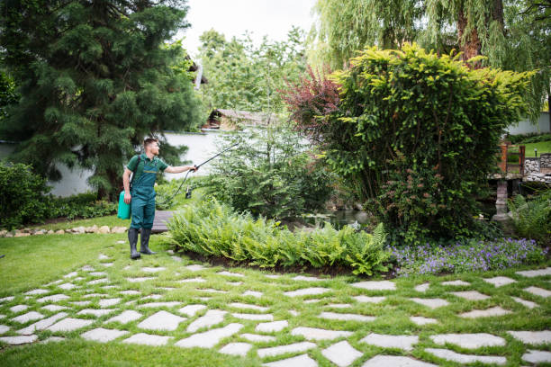 Best Residential Pest Control  in Nanuet, NY