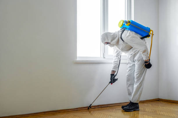 Best Termite Control Services  in Nanuet, NY