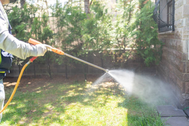 Best Rodent Control Near Me  in Nanuet, NY