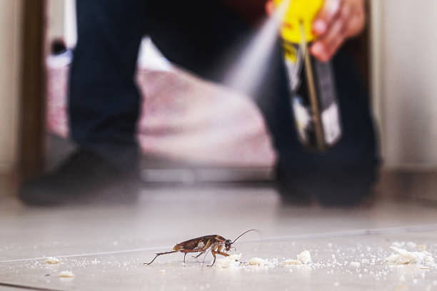 Best Pest Removal Services  in Nanuet, NY