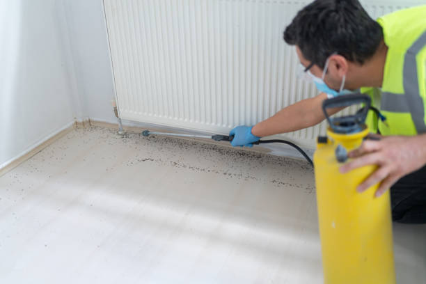 Best Affordable Pest Control Services  in Nanuet, NY