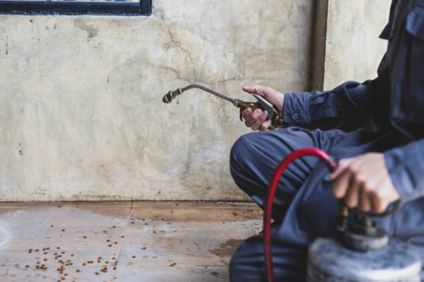 Best Pest Prevention Services  in Nanuet, NY